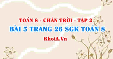 Bài 5 trang 26 Toán 8 Chân trời sáng tạo Tập 2